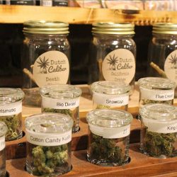 loose marijuana buds in durango