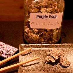 Purple Urkle marijuana