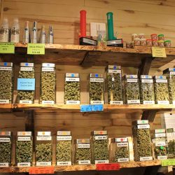 large selection of marijuana at sante durango